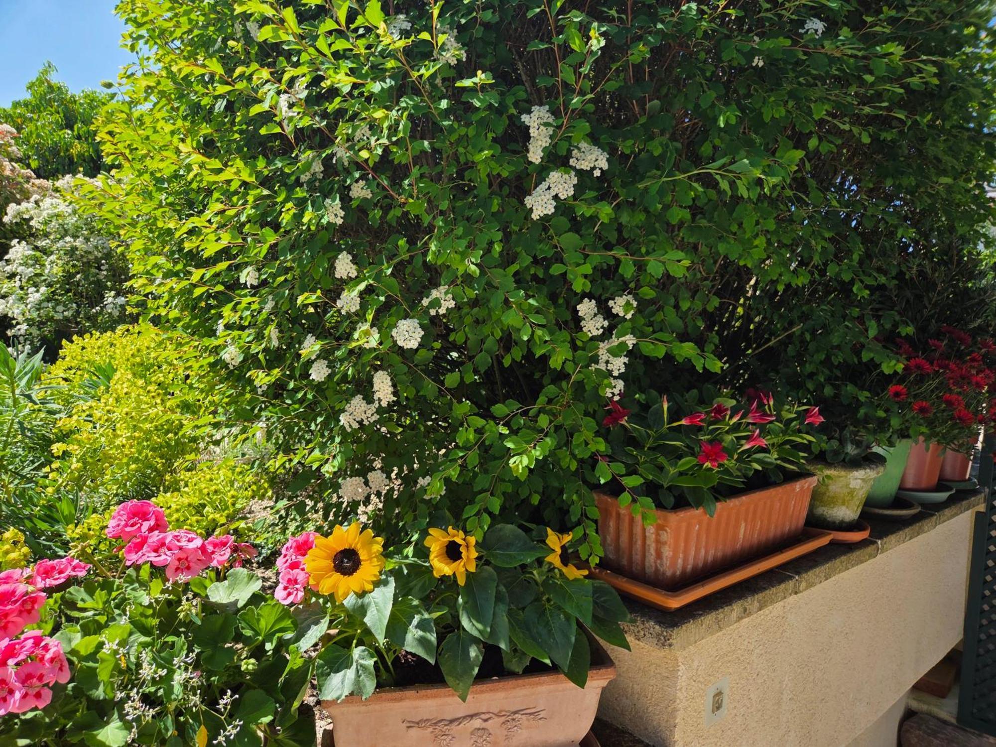 Clair Logis Villa Giverny Dış mekan fotoğraf